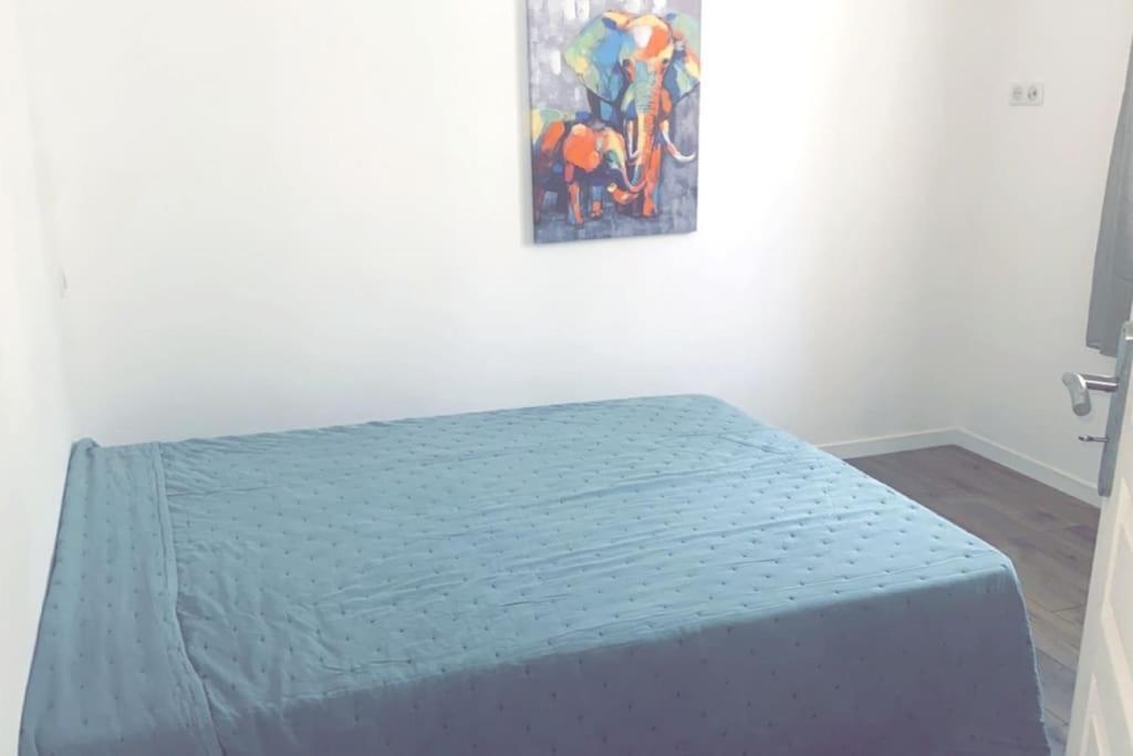 Appartement T2 Chez Thomas Et Nas Omessa Esterno foto